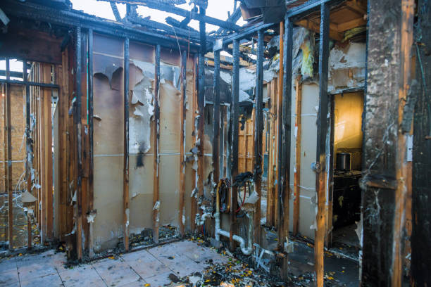 Professional Fire Damage Assessment technician working in The Colony, TX